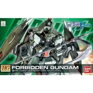 HGGD 1/144 R09 Forbidden Gundam